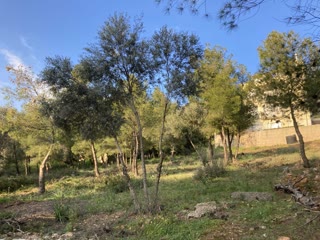Οικόπεδο 495τ.μ.