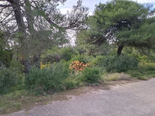 2030 m² Plot