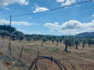 Οικόπεδο 5600 τ.μ.