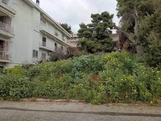 Οικόπεδο 761 τ.μ.