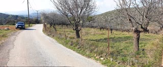 Αγροτεμάχιο 6400τ.μ.