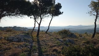 Οικόπεδο 2683 τ.μ.