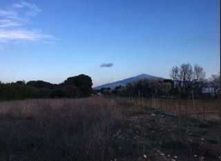 Αγροτεμάχιο 10000τ.μ.