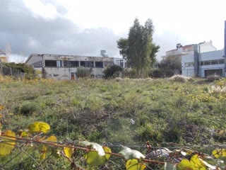 Οικόπεδο 1600 τ.μ.