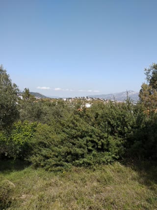 Участок 770 м²