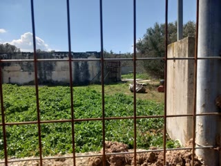 Αγροτεμάχιο 18000τ.μ.