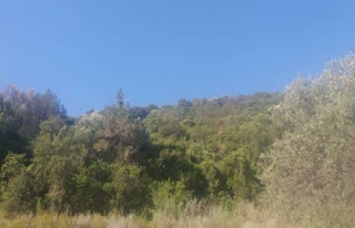 Αγροτεμάχιο 10.500 τ.μ.