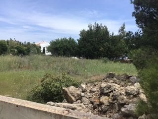 Οικόπεδο 1300τ.μ.