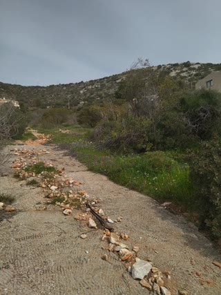 Οικόπεδο 1018 τ.μ.