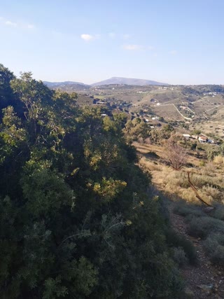 5150τ.μ. Αγροτεμάχιο