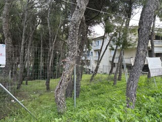 Участок 1055 м²