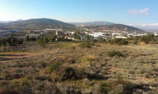 30000 τ.μ. Αγροτεμάχιο