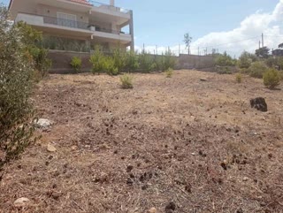 Οικόπεδο 646τ.μ.