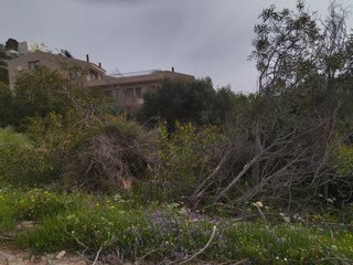 Οικόπεδο 1018 τ.μ.