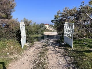 Οικόπεδο 5167 τ.μ.