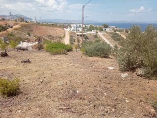 Οικόπεδο 646τ.μ.