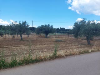Οικόπεδο 5600 τ.μ.