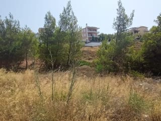 Οικόπεδο 505τ.μ.