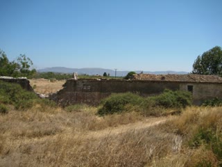 15000 m² Plot