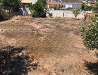 Αγροτεμάχιο 300τ.μ.