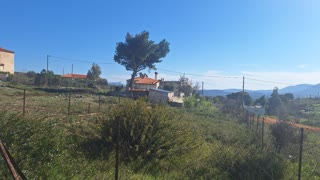 Οικόπεδο 282τ.μ.