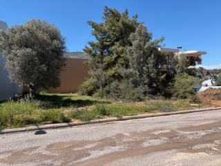 Οικόπεδο 491τ.μ.
