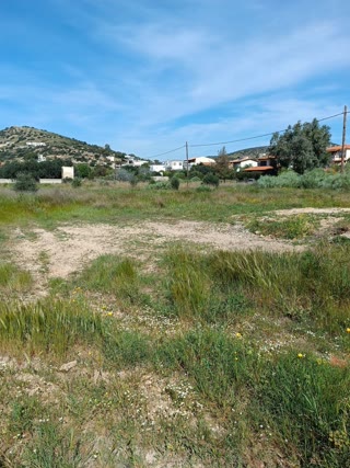 6200 m² Plot
