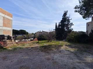 Οικόπεδο 1006 τ.μ.