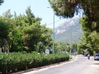 Οικόπεδο 1004 τ.μ.