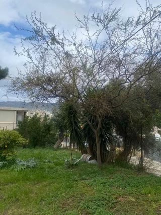 Οικόπεδο 400τ.μ.