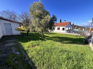 Οικόπεδο 303 τ.μ.
