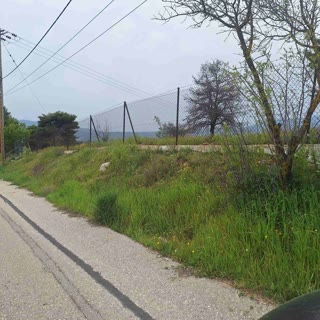 Οικόπεδο 4025τ.μ.