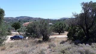 Οικόπεδο 5000 τ.μ.