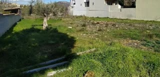 Οικόπεδο 805 τ.μ.