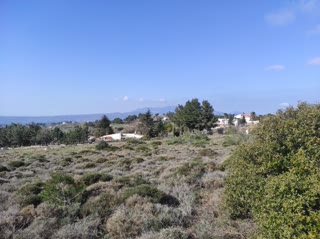 Αγροτεμάχιο 4007 τ.μ.