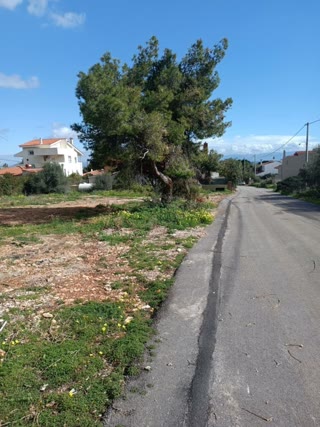 Οικόπεδο 720 τ.μ.
