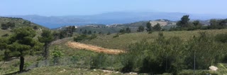 Αγροτεμάχιο 4500 τ.μ.