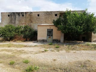 Οικόπεδο 1000 τ.μ.