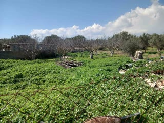 Αγροτεμάχιο 18000τ.μ.