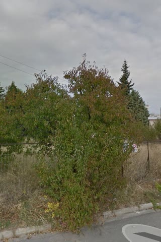 Οικόπεδο 700τ.μ.