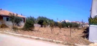Οικόπεδο 805 τ.μ.