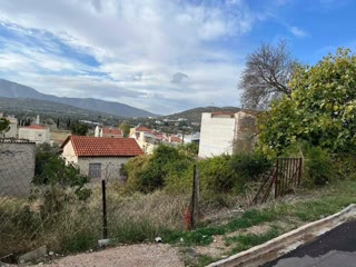 Οικόπεδο 237 τ.μ.