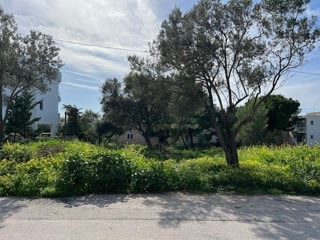 Οικόπεδο 786 τ.μ.