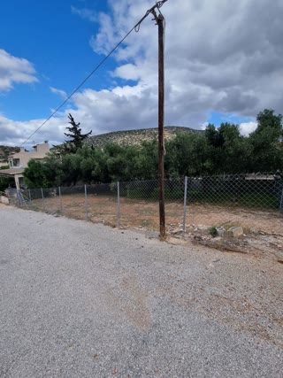 Οικόπεδο 350τ.μ.
