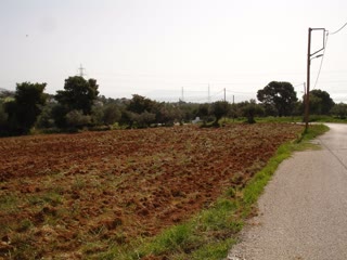 Αγροτεμάχιο 2250τ.μ.