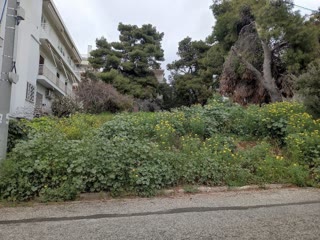 Οικόπεδο 761 τ.μ.