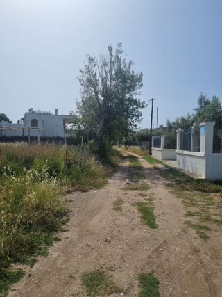 Οικόπεδο 500τ.μ.