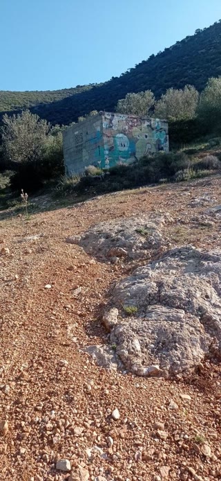 Αγροτεμάχιο 8723 τ.μ.