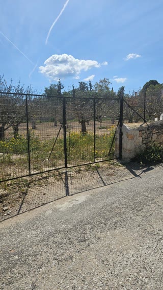 Οικόπεδο 787τ.μ.