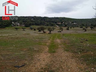 Οικόπεδο 644τ.μ.